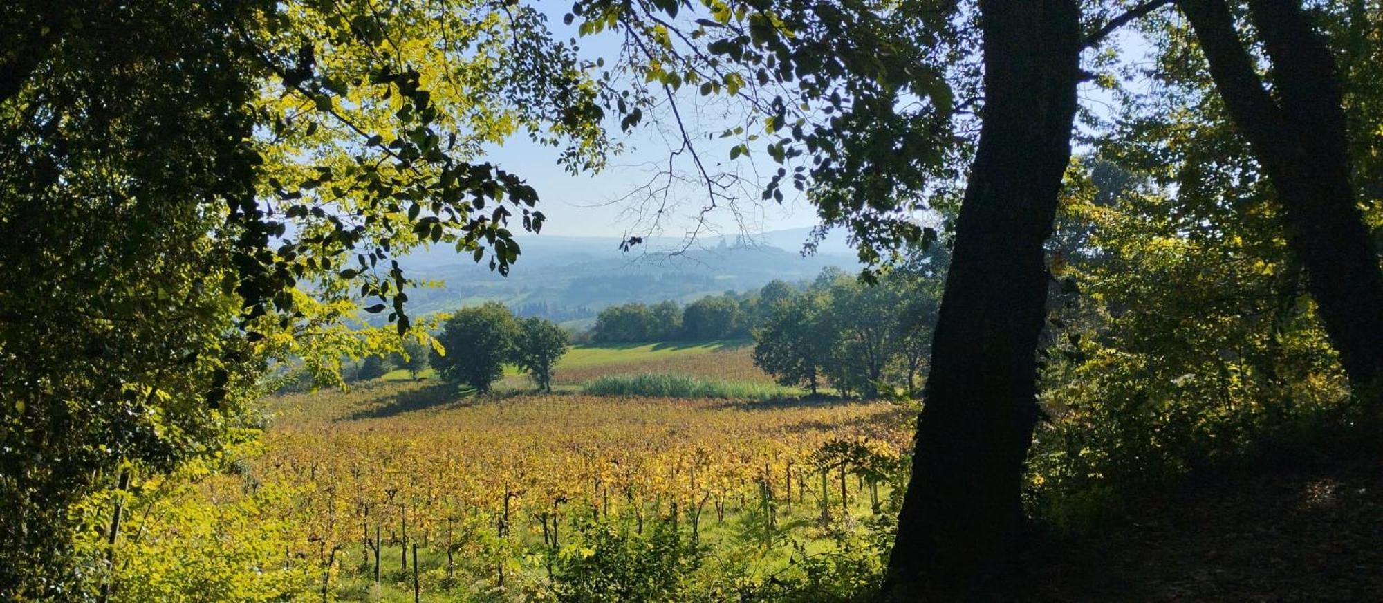 Вилла Cielo - Antica Casa Sulla Via Francigena Сан-Джиминьяно Экстерьер фото